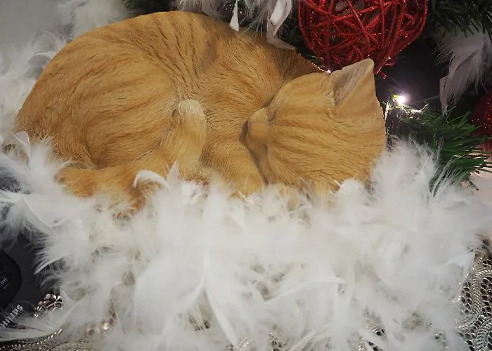 Terrace Special For Groups Up To 19 Guests 4* Lisbon