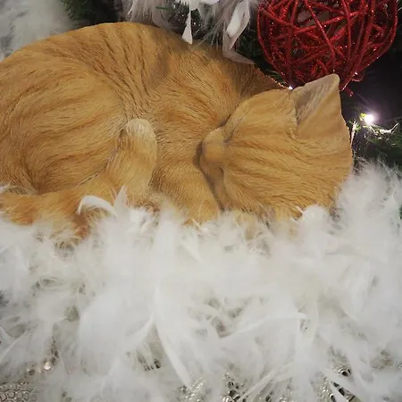 Terrace Special For Groups Up To 19 Guests 4* Lissabon