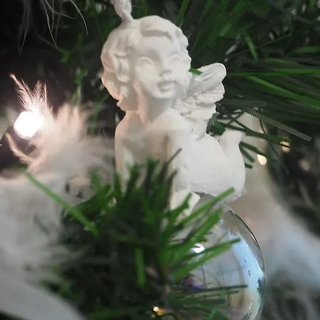 Gasthuis Terrace Special For Groups Up To 19 Guests 4*